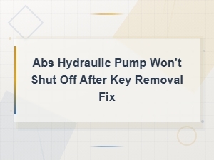 Abs Hydraulic Pump Won't Shut Off After Key Removal: Common Causes and Fixes